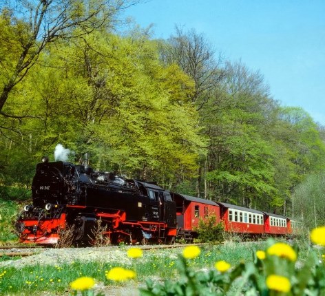 Dampfzug vor Wald